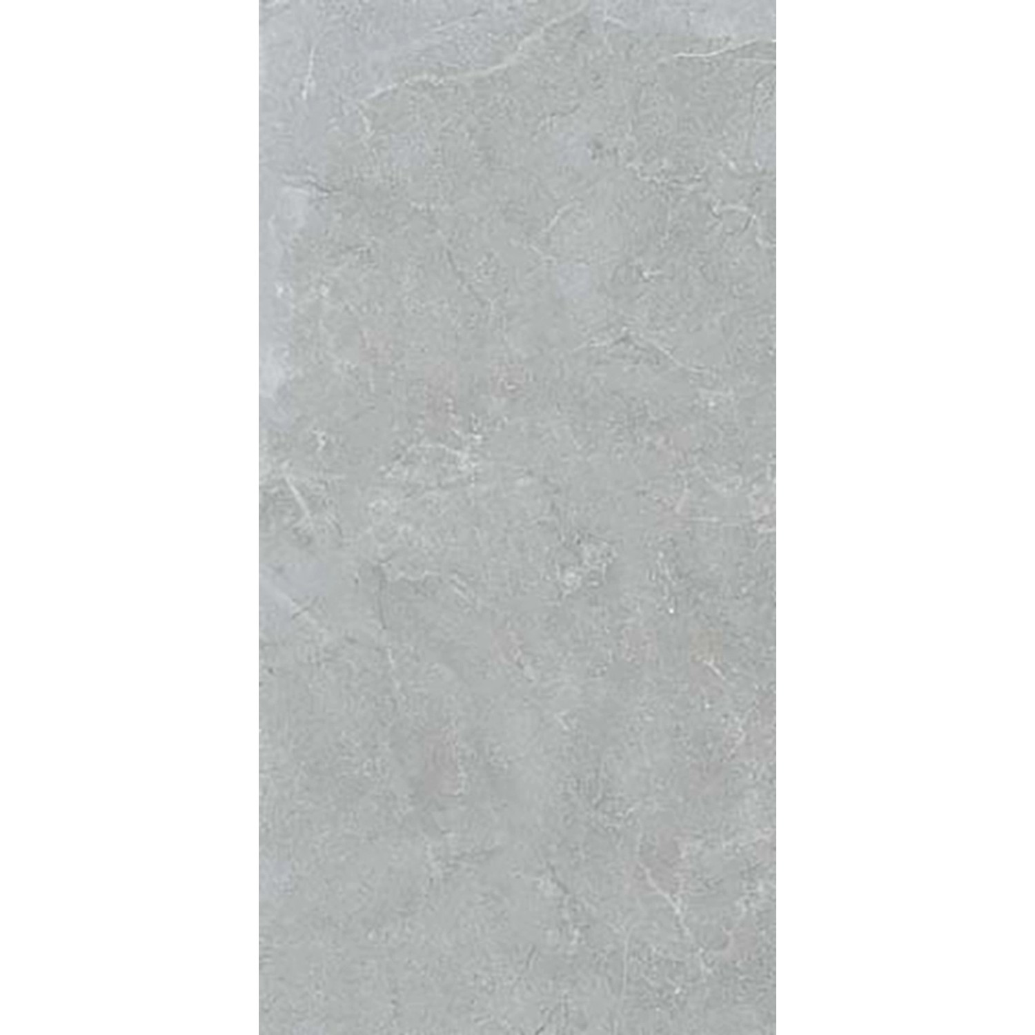 Bodenfliese Feinsteinzeug Grau Glasiert Matt 60 cm x 120 cm