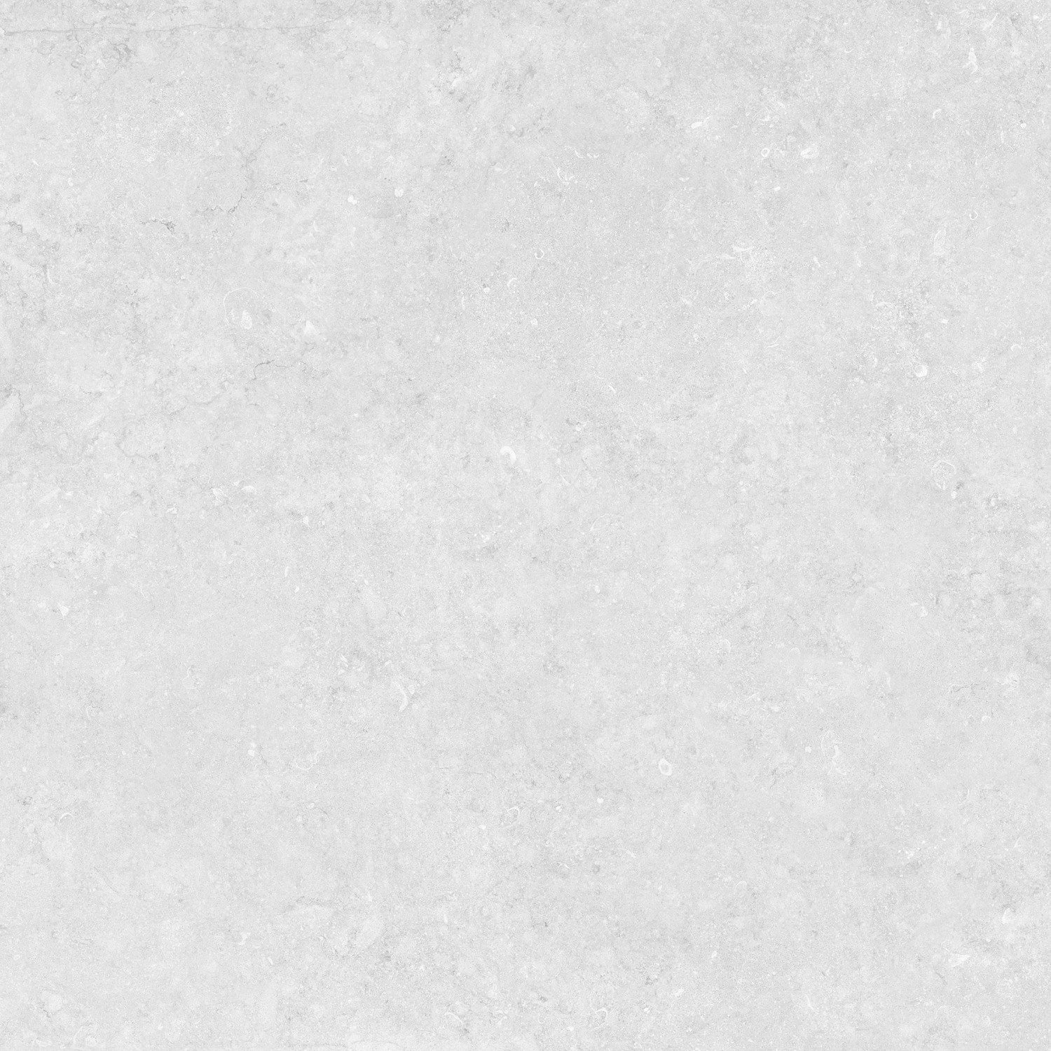 Bodenfliese Marmo Grey Feinsteinzeug Grau Glasiert Poliert 120 cm x 120 cm