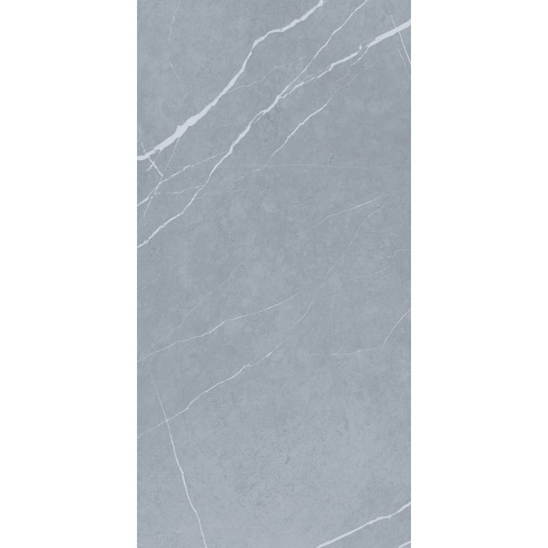 Bodenfliese Feinsteinzeug Grau Glasiert Matt 60 cm x 120 cm von -