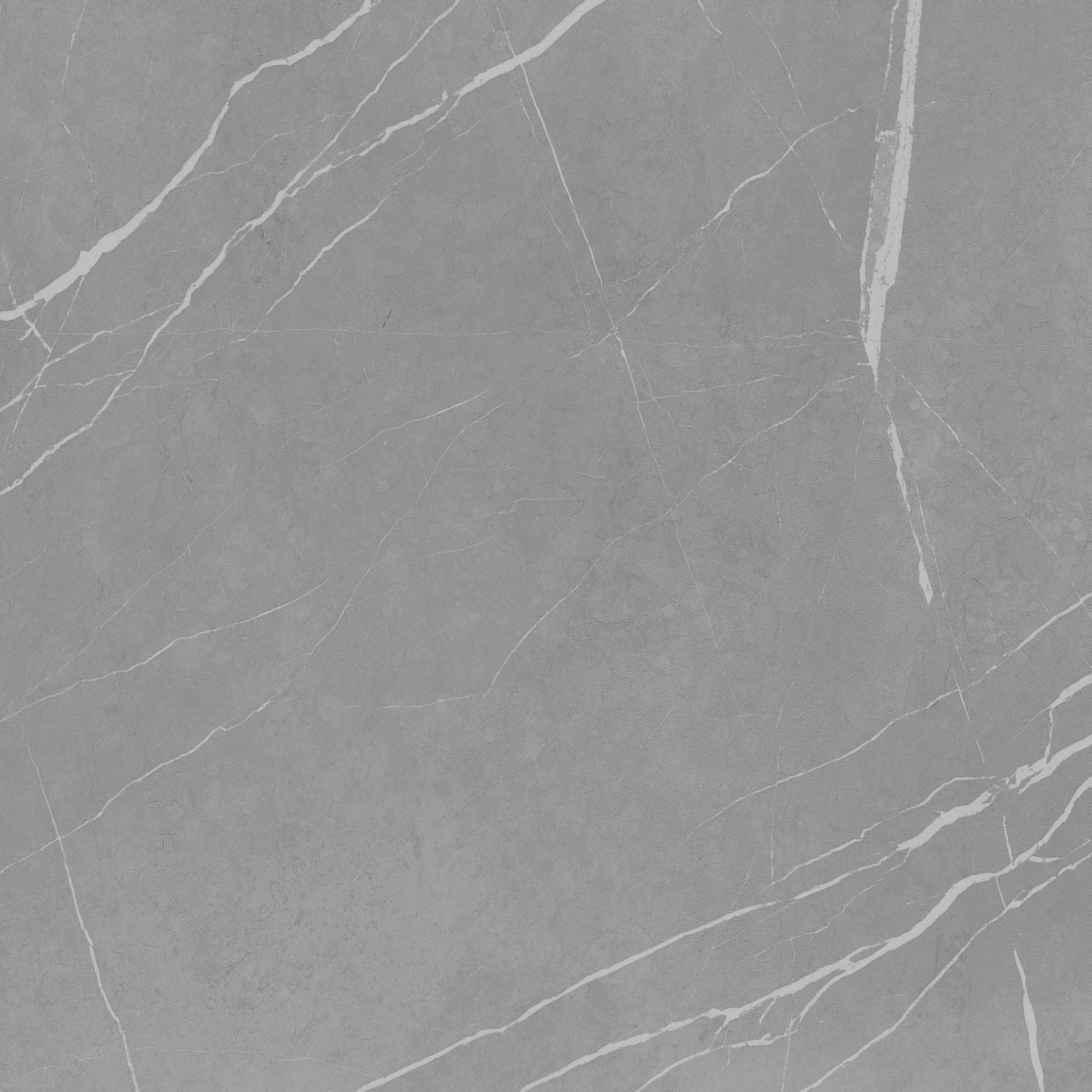 Bodenfliese Feinsteinzeug Grau Glasiert Matt 60 cm x 60 cm