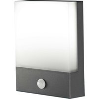 Böhmer LED-Aussenwandleuchte 3000K mit Sensor 34220 Böhmer LED-Aussenwandleuchte 3000K mit Sensor 34220 von boehmer