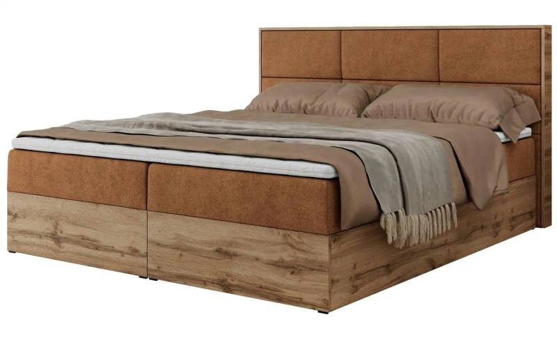 Boxbett mit Bettkasten  ¦ orange ¦ Maße (cm): B: 208 H: 104 Betten > Boxspringbetten - Möbel Kraft