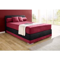 Maintal Boxspringbett "Lago", in 3 verschiedenen Matratzenarten, H2 oder H3 Maintal Boxspringbett "Lago", in 3 verschiedenen Matratzenarten, H2 oder H3 von Maintal