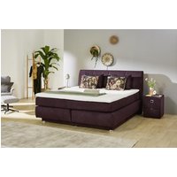 Boxspringbett CARLA von Jockenhöfer 180x200cm  Microfaser bedruckt aubergine
