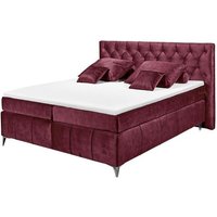 Boxspringbett Perren 180 x 200 Rot