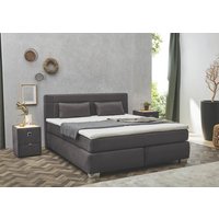 Boxspringbett ROMANA von Jockenhöfer 180x200cm dunkelgrau