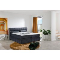 Boxspringbett Sorrent dunkelgrau Microfaser Liegefläche B/L: ca. 180x200 cm Boxspringbett Sorrent dunkelgrau Microfaser Liegefläche B/L: ca. 180x200 cm von XXXL