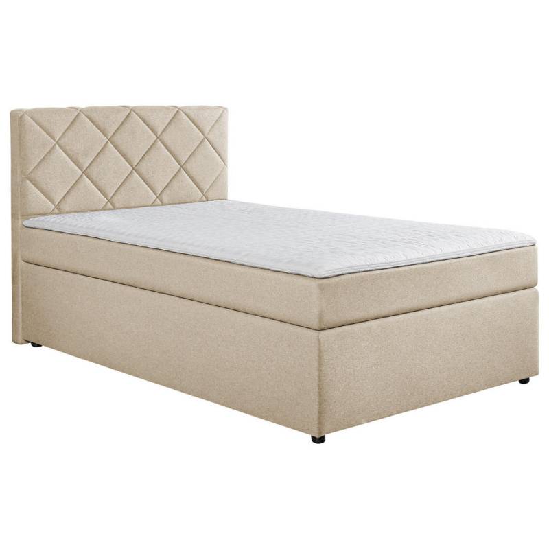 Boxxx BOXSPRINGBETT Creme