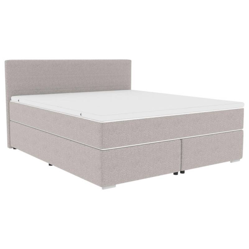 Boxxx BOXSPRINGBETT Hellgrau