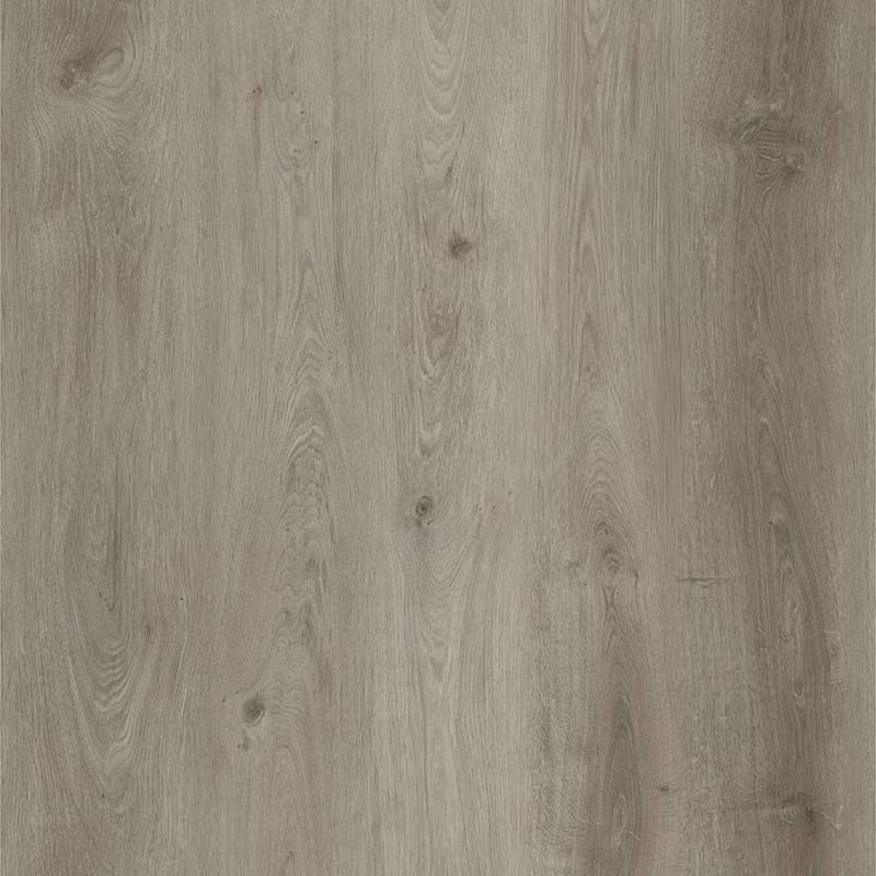 Click-Vinylboden Eiche Trend mit integrierter Trittschalldämmung Click-Vinylboden Eiche Trend mit integrierter Trittschalldämmung von -