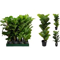DEKOPFLANZE IM TOPF Kunstpflanze 1 Stück ca. 65 cm Polyethylene Grün, Schwarz
