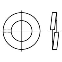 DIN 127 Federring CuSn6 B 8 Bronze S 500 Stk DIN 127 Federring CuSn6 B 8 Bronze S 500 Stk