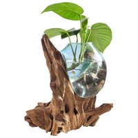 Deko-Glas DROP 50 cm hoch Teak Wurzel Natur Hellbraun