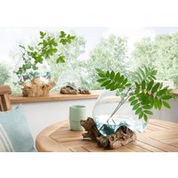 Deko-Glas DROP flach 13 cm hoch Teak Wurzel Natur Hellbraun