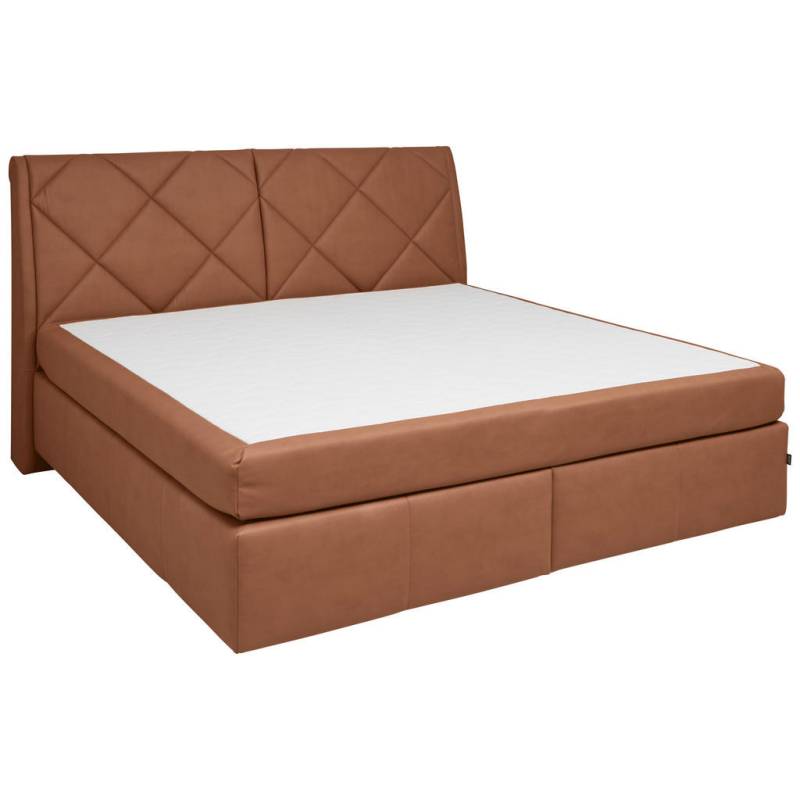 Dieter Knoll BOXSPRINGBETT Braun