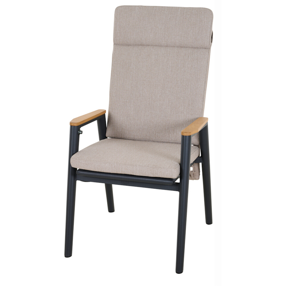Diningsessel CORTINA ca.B61 H108 T76 cm in Aluminium matt anthrazit Diningsessel CORTINA ca.B61 H108 T76 cm in Aluminium matt anthrazit
