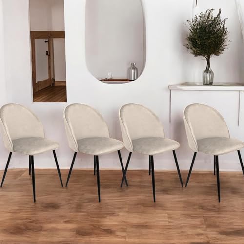Dmora - Satz mit 4 Stühlen Stinson, Sessel mit Samtbezug, gepolsterter Esszimmerstuhl, Besprechungssitz, 51x54h82 cm, Hellgrau Dmora - Satz mit 4 Stühlen Stinson, Sessel mit Samtbezug, gepolsterter Esszimmerstuhl, Besprechungssitz, 51x54h82 cm, Hellgrau