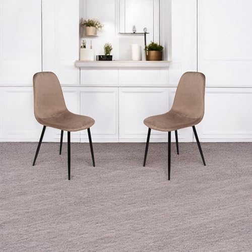 Dmora - Set aus 2 Pismo-Stühlen, Sessel mit Samtbezug, gepolsterter Esszimmerstuhl, Besprechungssitz, 45 x 56 x 87 cm, Grau