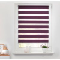 Doppelrollo Duo brombeer B/L: ca. 60x150 cm von LICHTBLICK