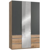 Drehtürenschrank 3trg mit 1 Spiegel LEVEL36 A von WIMEX Grau