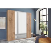 Drehtürenschrank 4trg mit 2 Spiegel LEVEL36 A von WIMEX Braun