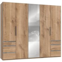 Drehtürenschrank 5trg mit 1 Spiegel LEVEL36 A von WIMEX Braun