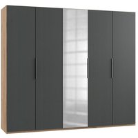 Drehtürenschrank 5trg mit 1 Spiegel LEVEL36 A von WIMEX Grau
