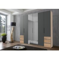 Drehtürenschrank 6trg mit 1 Spiegel LEVEL36 A von WIMEX Grau