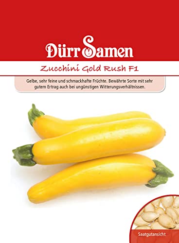 Gelbe Zucchini Samen Gold Rush F1 Zucchinisamen Gemüsesamen 5 Korn Garten Hochbeet Balkon Saatgut Dürr Samen von Dürr-Samen