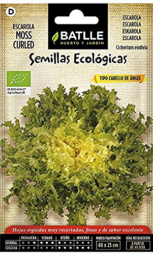 Bio Samen - Endivie gekräuselt - Moss curled (300 Samen - Bio) von Semillas Batlle