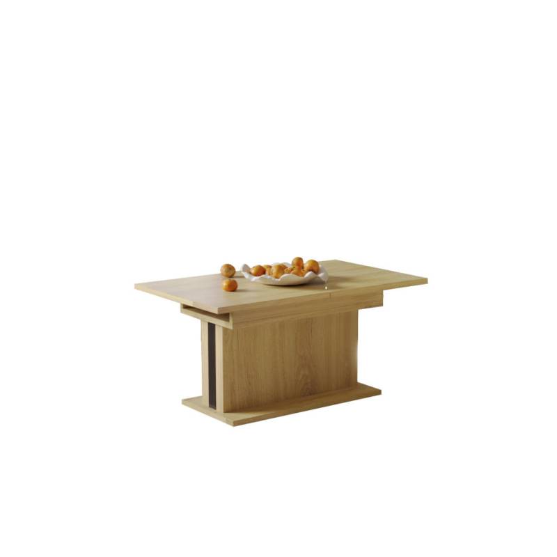 Endo-Moebel COUCHTISCH Eiche