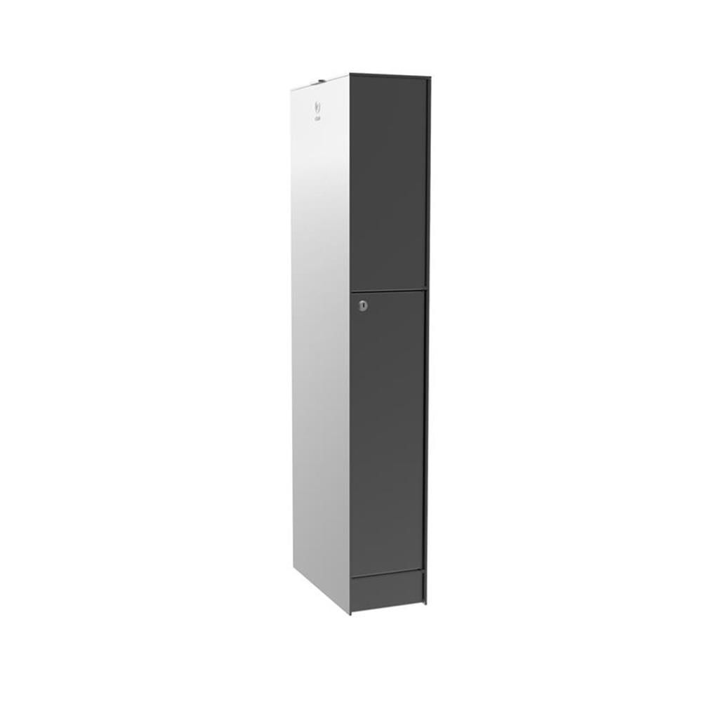 FENIX freistehende Design Paketbox und Briefkasten RAL 9007 Graualuminium Medium von eSafe