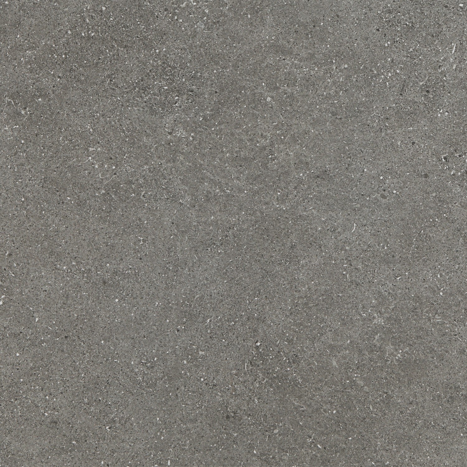 Feinsteinzeug Pebblestone glasiert matt rektifiziert 60x60x1 cm von -