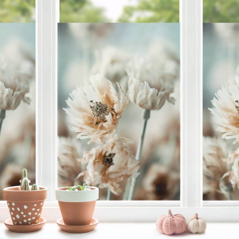 Fensterfolie Blumen Nahaufnahme