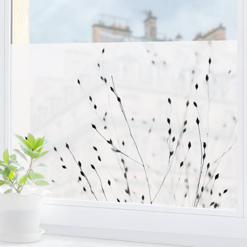 Fensterfolie Zarte Gräser im Schatten
