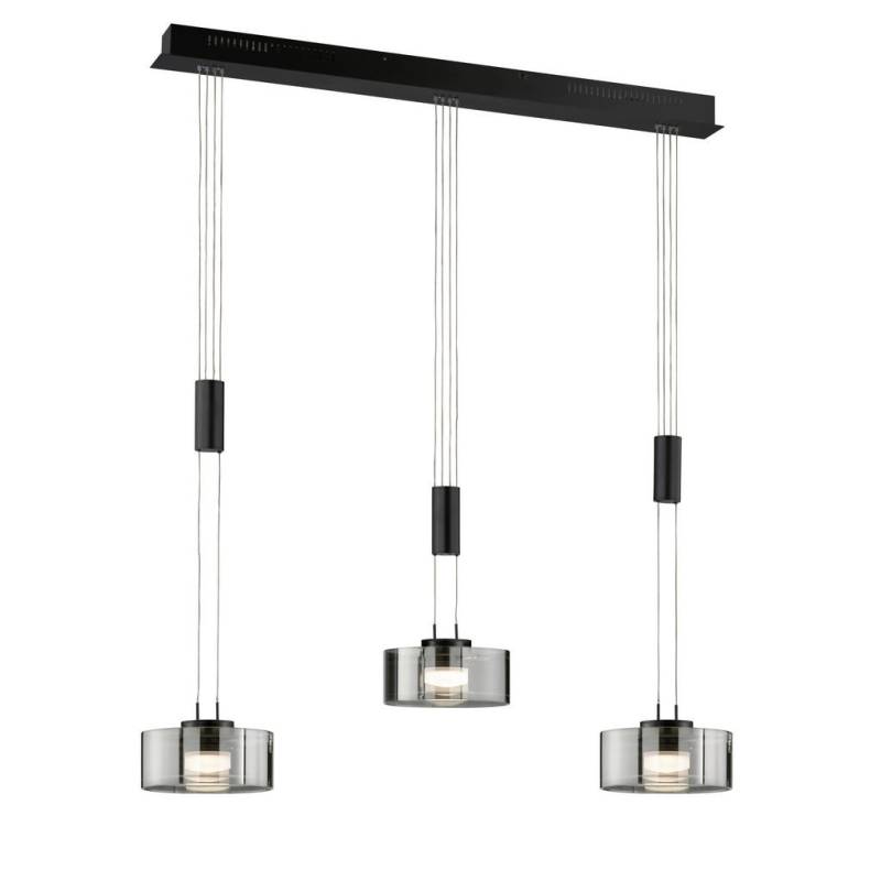 Fischer & Honsel LED-HÄNGELEUCHTE
