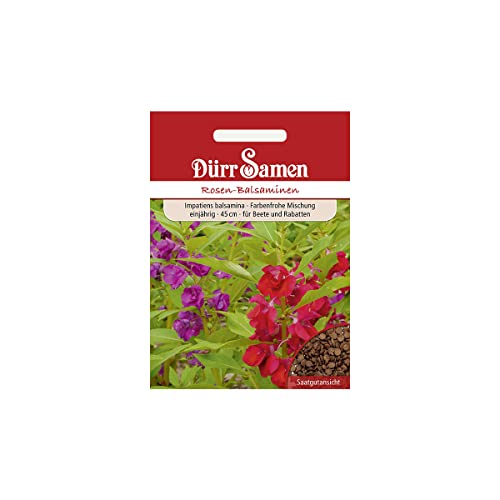 Fleißige Lieschen Rosen-Balsaminen ((Impatiens walleriana) von Dürr-Samen