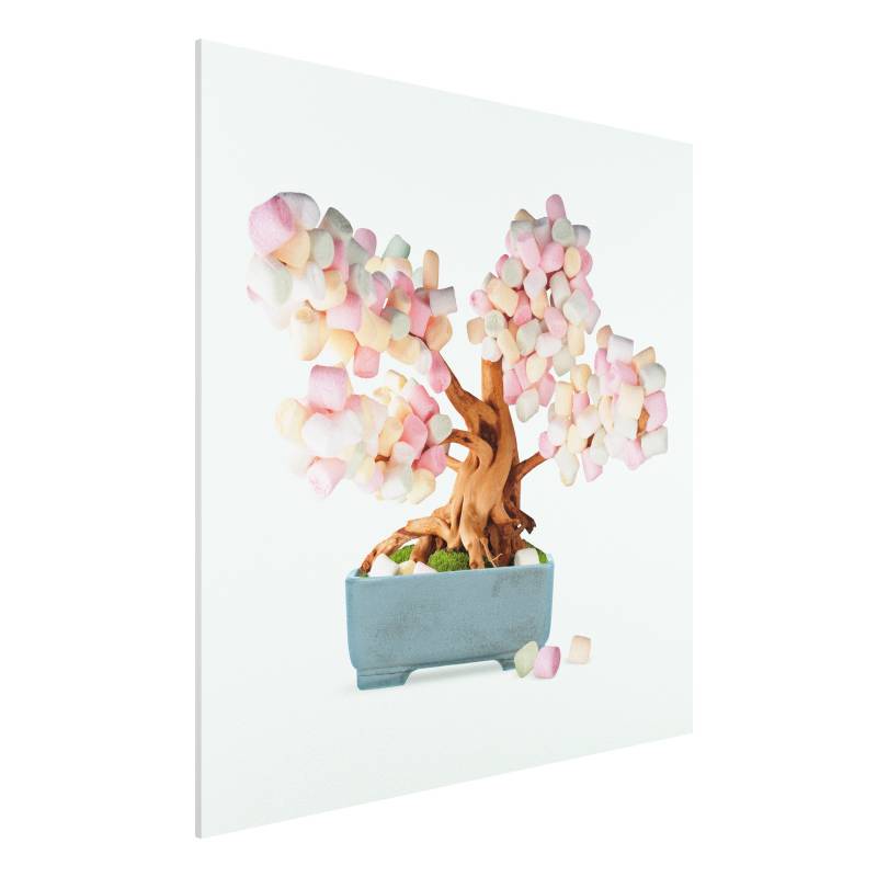 Forexbild Bonsai mit Marshmallows