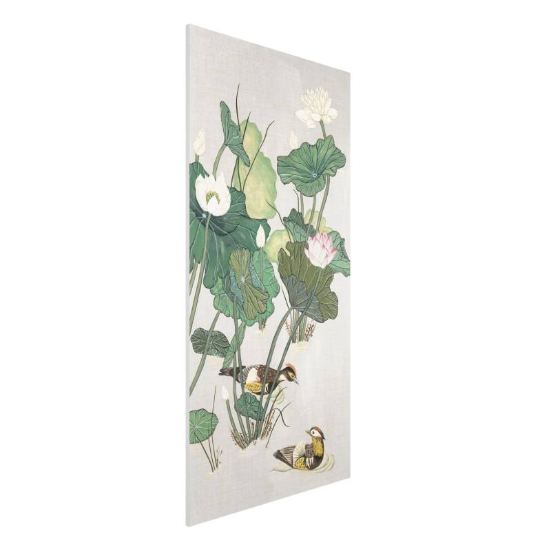 Forexbild Vintage Illustration Lotusblüten im Teich
