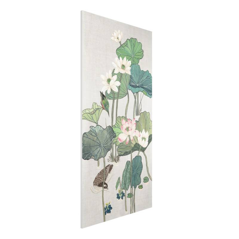 Forexbild Vintage Illustration Lotusblüten im Teich II
