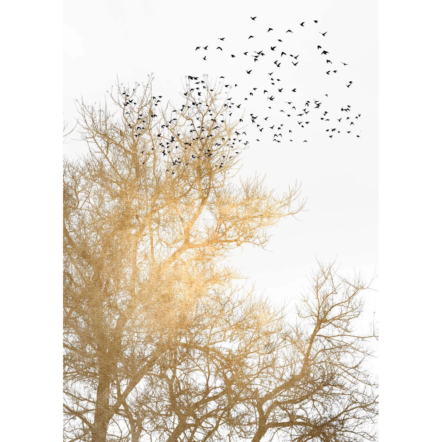 Fototapete Bäume Vögel Weiß Gold Schwarz 2,00 m x 2,80 m FSC® von -