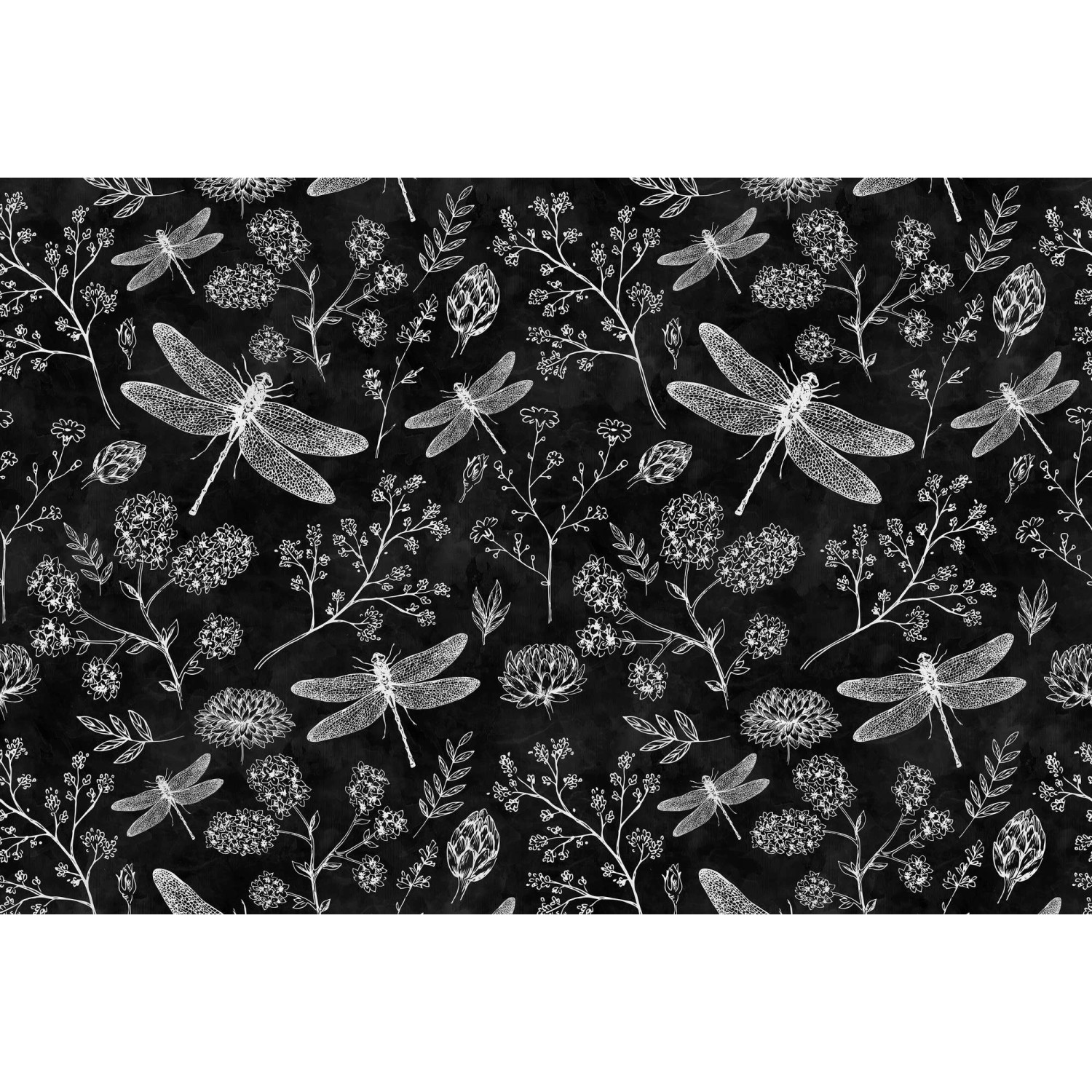 Fototapete Blackboard Blumen Libelle Schwarz Weiß 4,00 m x 2,70 m FSC® Fototapete Blackboard Blumen Libelle Schwarz Weiß 4,00 m x 2,70 m FSC® von -