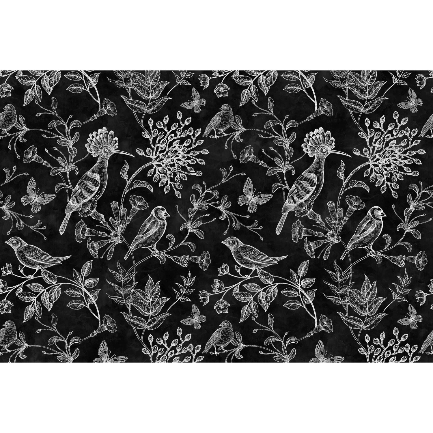 Fototapete Blackboard Blumen Vögel Schwarz Weiß 4,00 m x 2,70 m FSC® von -