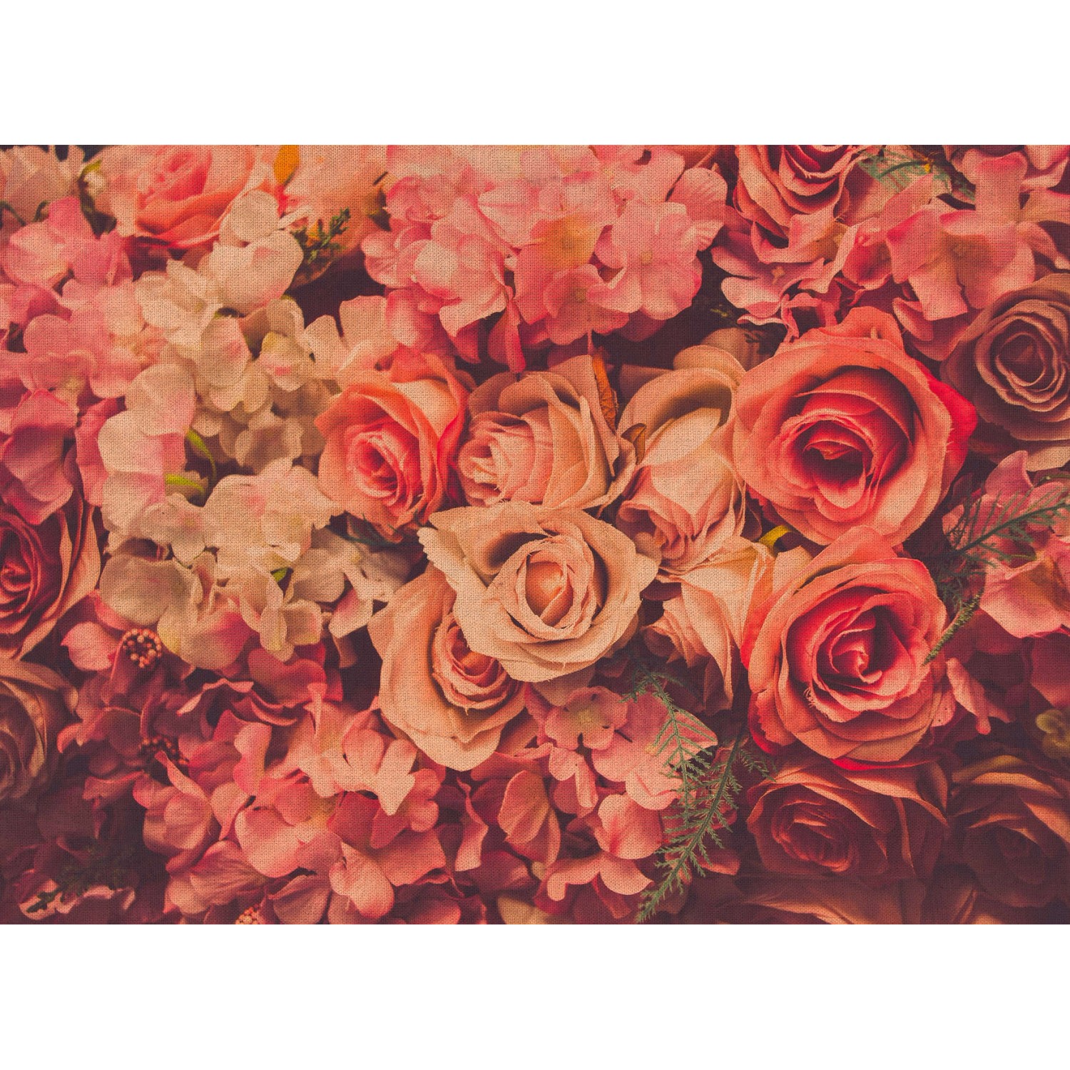 Fototapete Blumen Rosen Blüten Vintage Rosa Rot Grün 3,50 m x 2,55 m FSC® Fototapete Blumen Rosen Blüten Vintage Rosa Rot Grün 3,50 m x 2,55 m FSC® von -