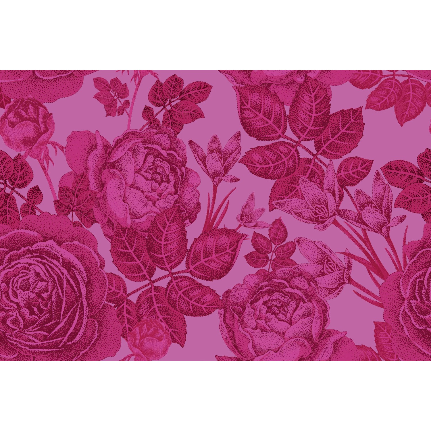 Fototapete Blumen Rosen Pink Rot 4,00 m x 2,70 m FSC® Fototapete Blumen Rosen Pink Rot 4,00 m x 2,70 m FSC® von -