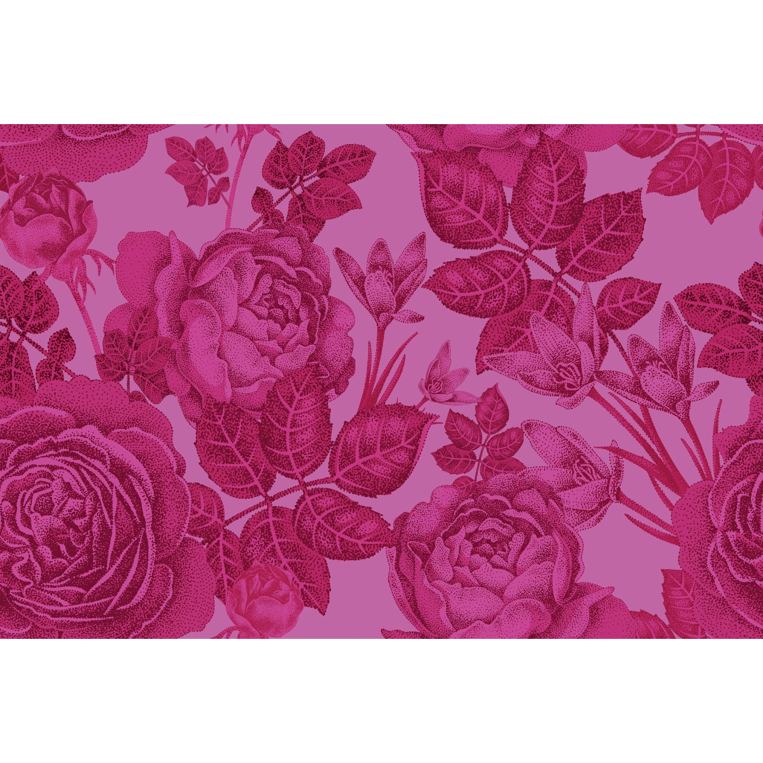 Fototapete Blumen Rosen Pink Rot 4,00 m x 2,70 m FSC® von -