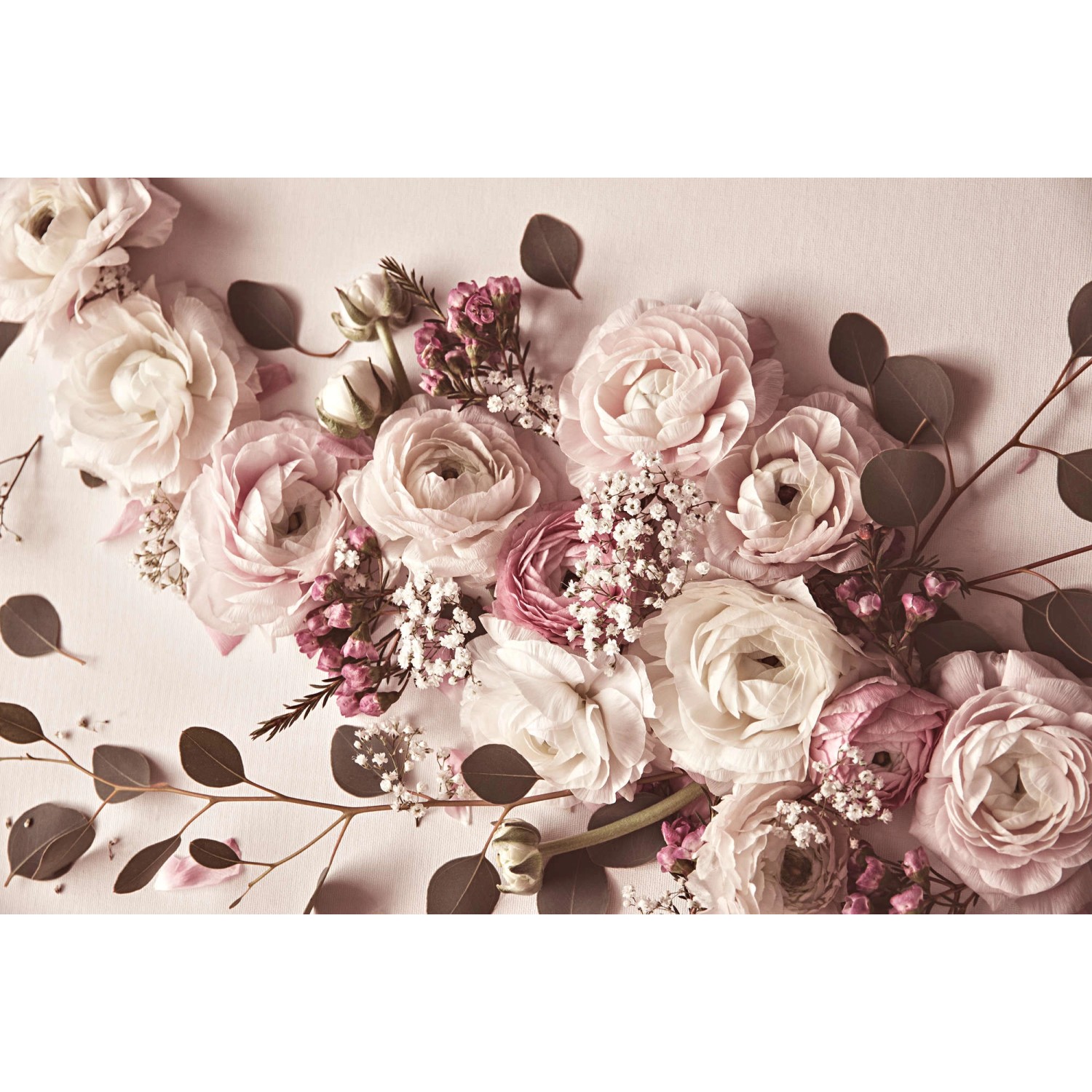 Fototapete Blumen Rosen Rosa Grün Weiß 4,00 m x 2,70 m FSC® von -