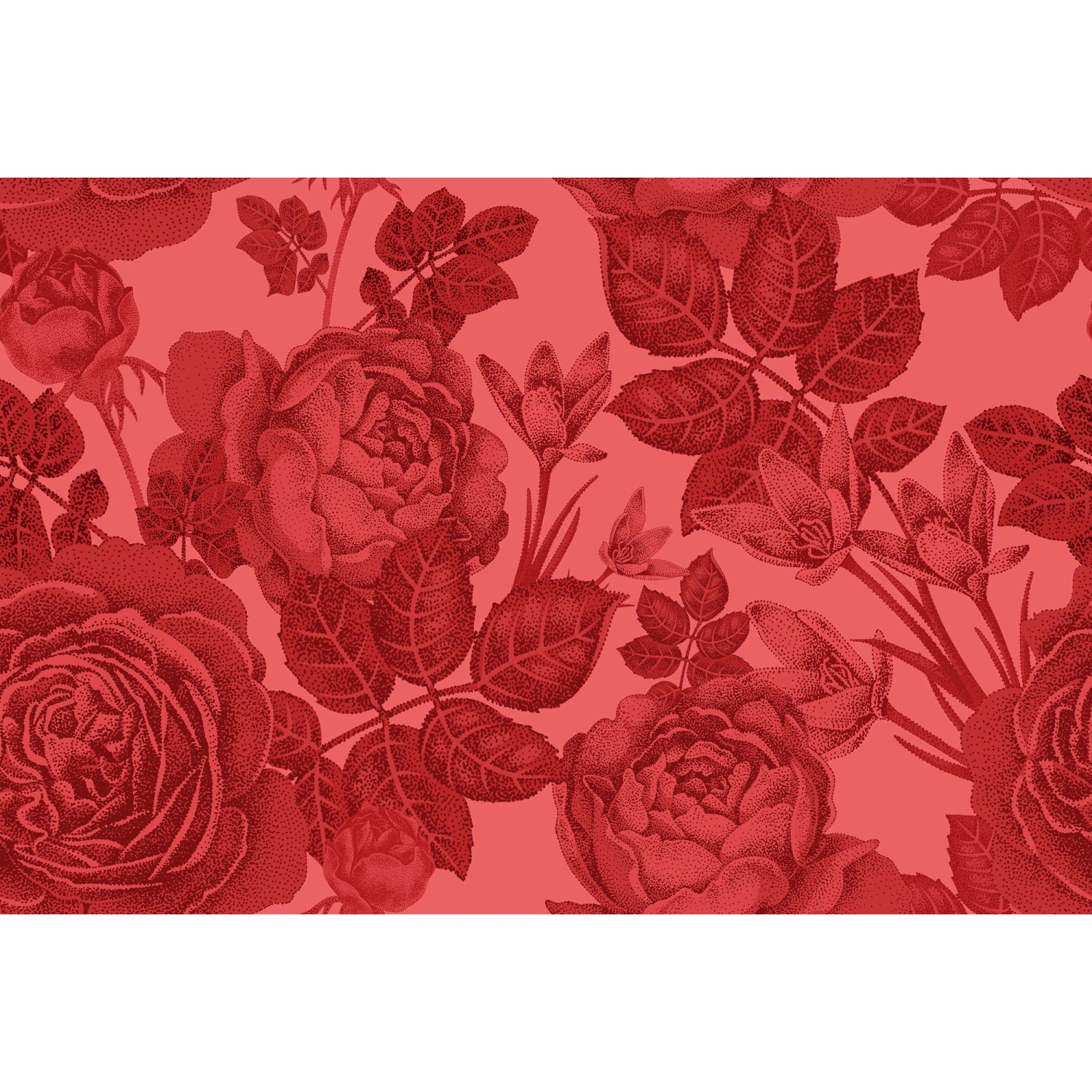 Fototapete Blumen Rosen Rot 4,00 m x 2,70 m FSC® von -