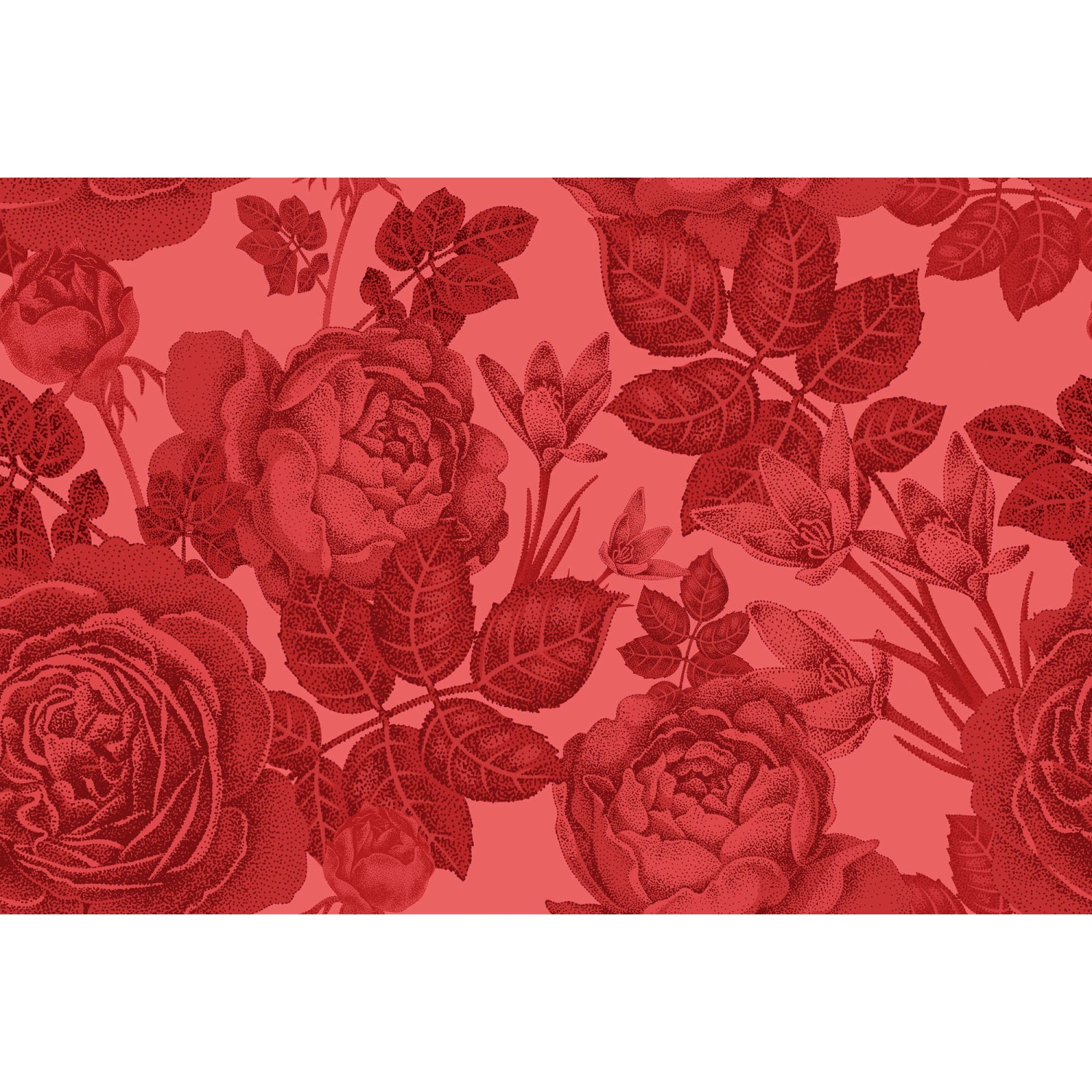 Fototapete Blumen Rosen Rot 4,00 m x 2,70 m FSC® Fototapete Blumen Rosen Rot 4,00 m x 2,70 m FSC® von -