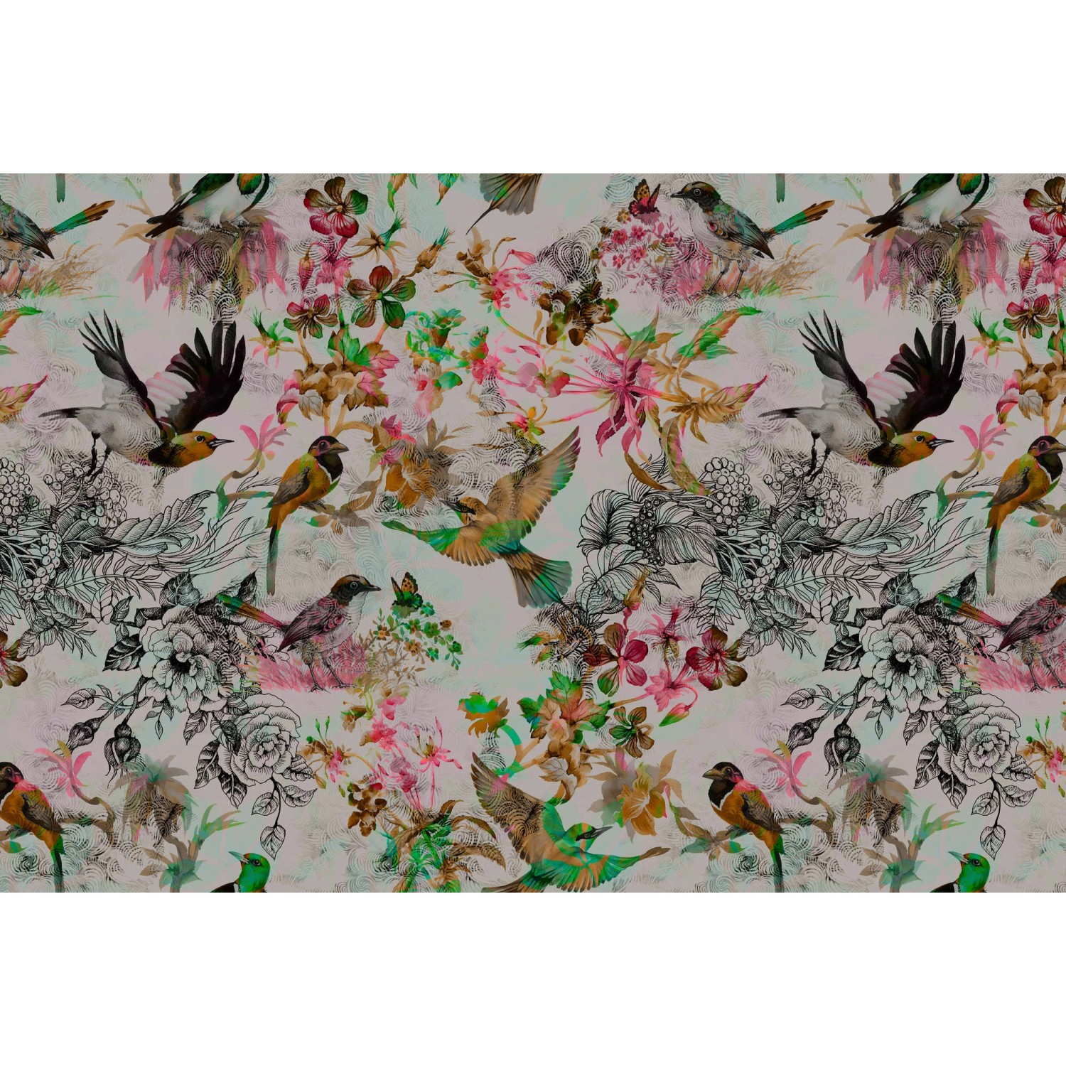 Fototapete Blumen Vögel Bunt Grün Orange 4,00 m x 2,70 m FSC® von -